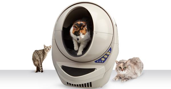 How To Prevent Litter Box Problems