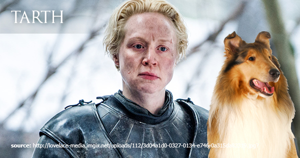 Dog Names Inspired By Game Of Thrones