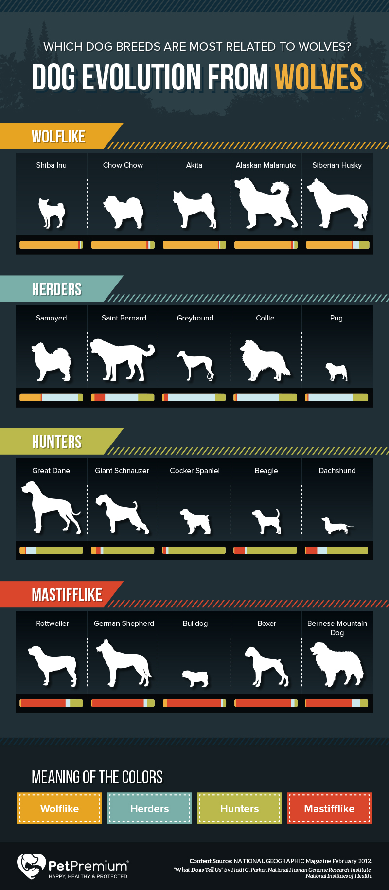 Wolflike Dog Breeds